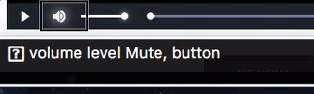 macOS VoiceOver Before The Fix